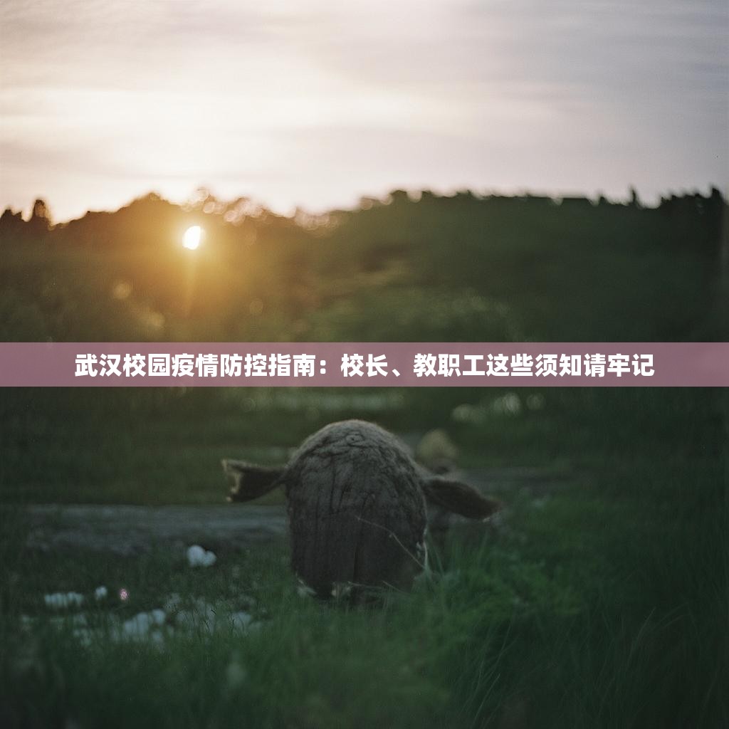 武汉校园疫情防控指南：校长、教职工这些须知请牢记