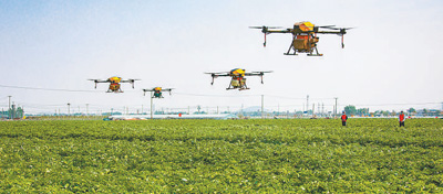 各地坚持高效统筹疫情防控与经济社会发展取得阶段性成效