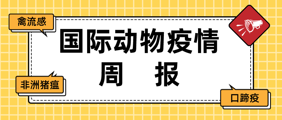10月中旬匈牙利、波兰等多国非洲猪瘟疫情动态汇总