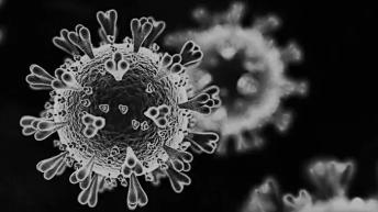 疫情当下读这本书！了解瘟疫历史，正视人类与疾病的过往