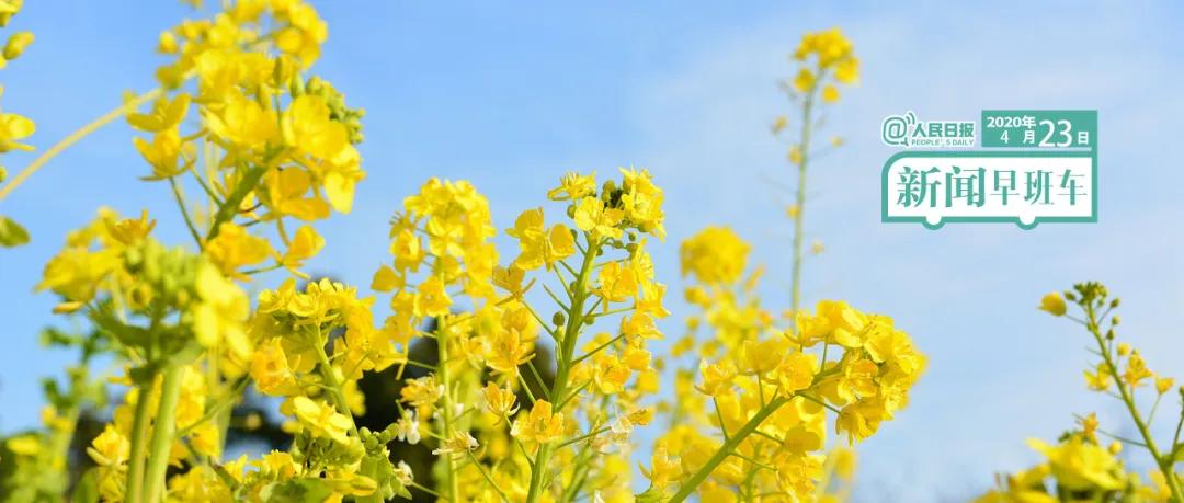 疫情最新消息：国内新增病例数、湖北确诊情况及国际疫情动态