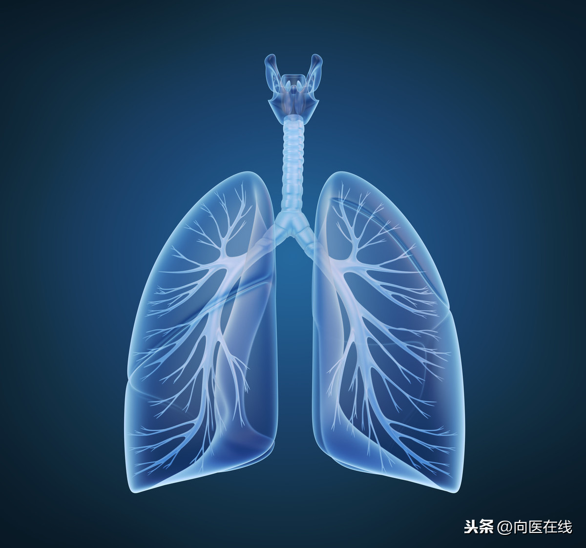 新冠疫情下肺动脉高压患者防护及服药锻炼注意事项