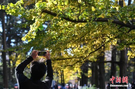 大学社交现况:不少学生陷入‘委屈社交’‘无效社交’困境