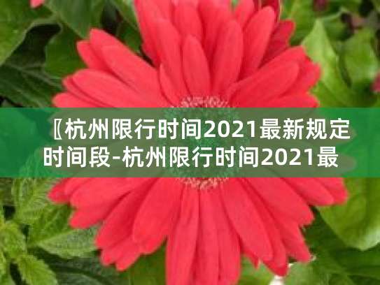 杭州限行一年允许四次免罚？执法过渡期规定看这里