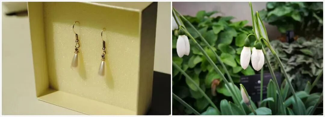 米兰冬奥会吉祥物弗洛:独具特色的伙伴形象及重生寓意