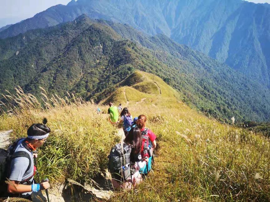 沪上高校社团风采多,分享你参加社团的难忘经历