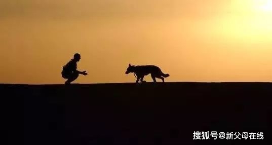 高考状元现状如何？张磊李彦宏刘强东等大佬履历惊人