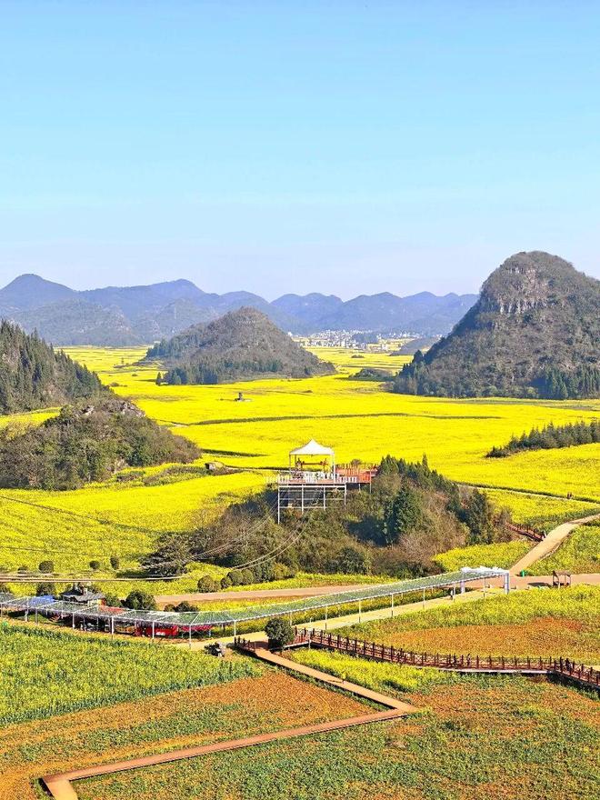 自驾2500公里看油菜花，途中这些高速服务区体验超棒