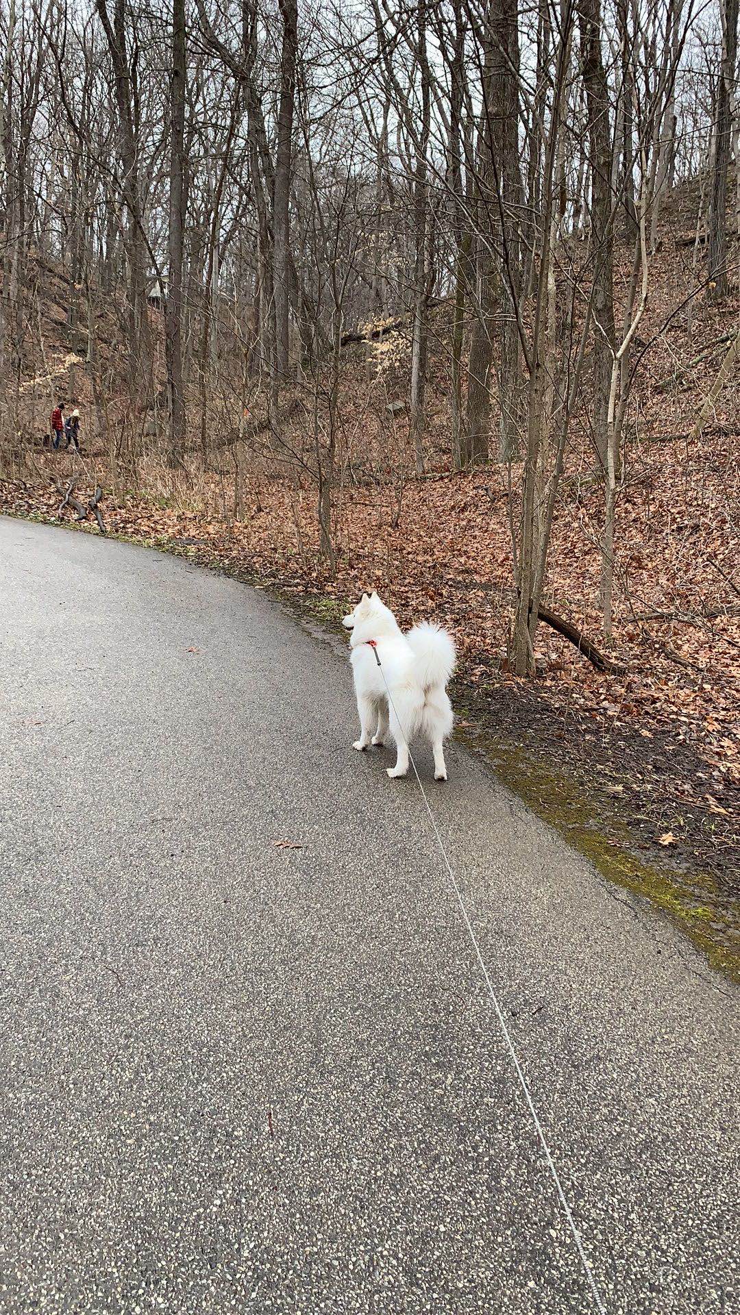 美国疫情态势严峻,特朗普言论引不满,学生居家隔离应对