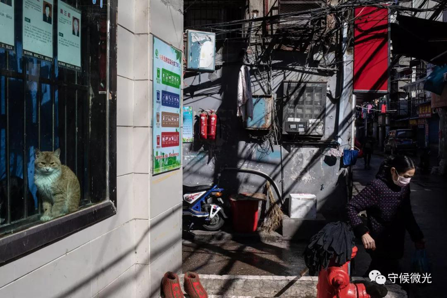 疫情下的生活_疫情下的生活2021_疫情下的生活百态