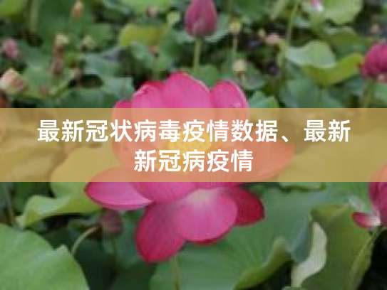 9月9日至13日新型冠状病毒肺炎疫情最新情况汇总