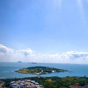 青岛新增疫情专家回应:防控精准,旅游不受影响