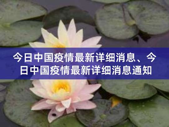 今日中国疫情最新详细消息、今日中国疫情最新详细消息通知