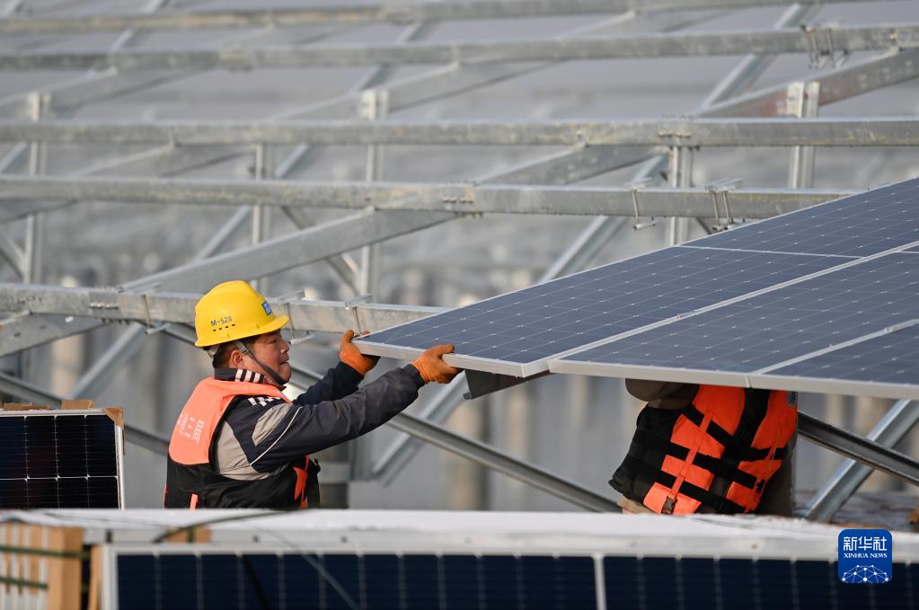 优化防控措施应对疫情冲击_中国抗疫人民至上生命至上实践_疫情期间
