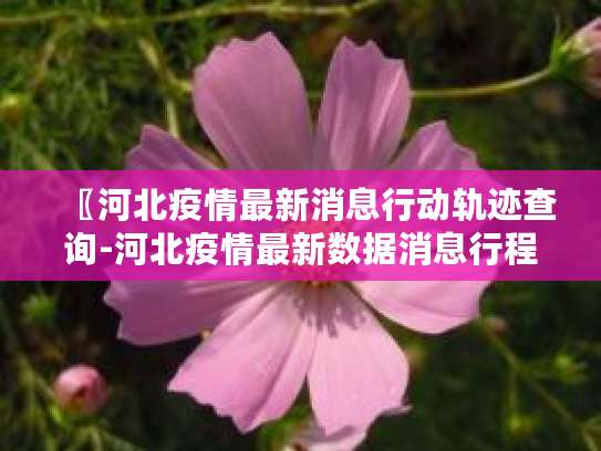 〖河北疫情最新消息行动轨迹查询-河北疫情最新数据消息行程轨迹〗