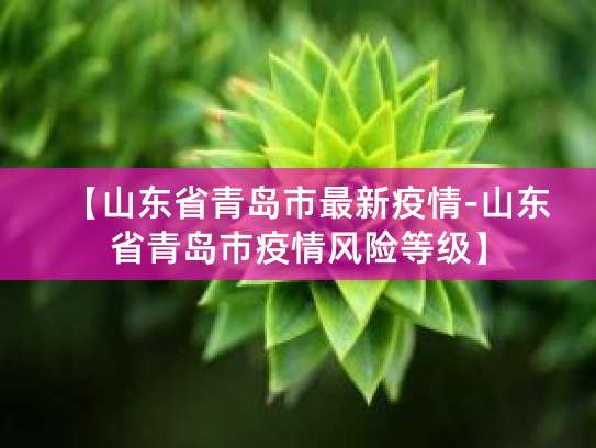 青岛疫情最新情况：新增3例无症状感染者，风险等级未变