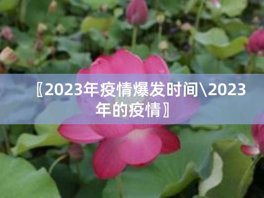 新冠疫情从几几年几月开始？又在何时结束？
