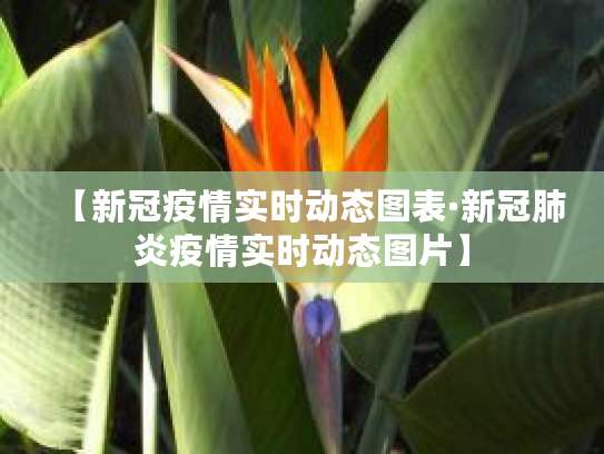 实时掌控疫情发展！含精确地级市疫情图及多地防疫举措