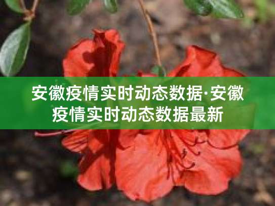 11 月 28 日多地新型冠状病毒肺炎疫情最新情况汇总