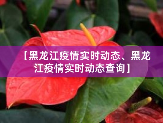 9月22日黑龙江新增8例本土确诊，全省转入应急状态