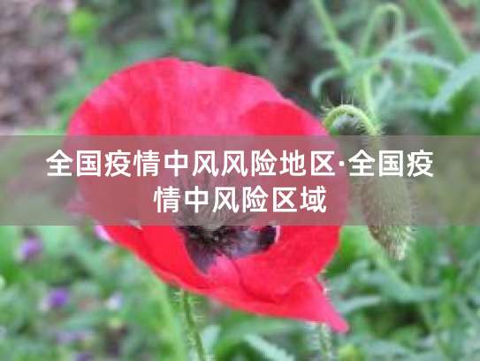 11月25日上海三小区列为中风险地区，防疫要点需注意